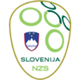 斯洛文尼亚U18
